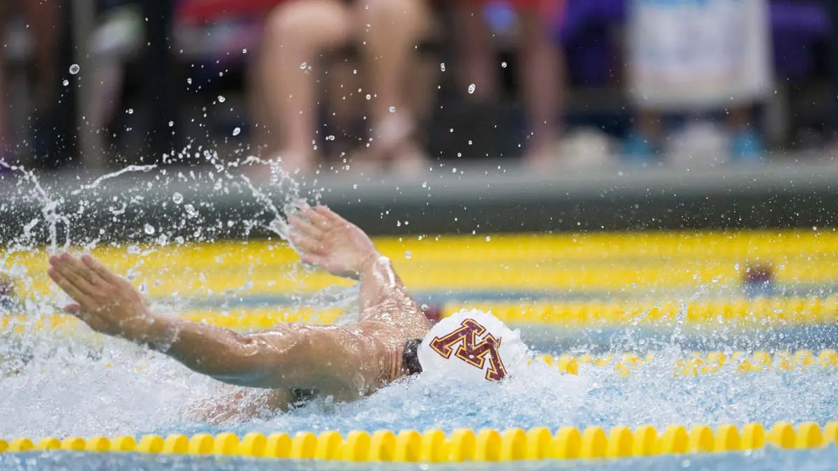 Swimmer in the pool