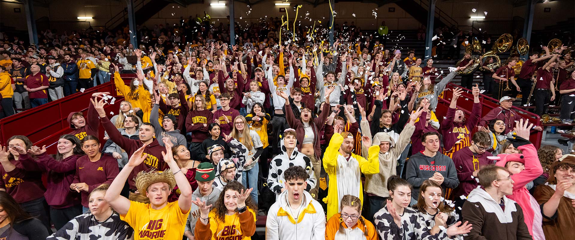 Fans cheering in the stands