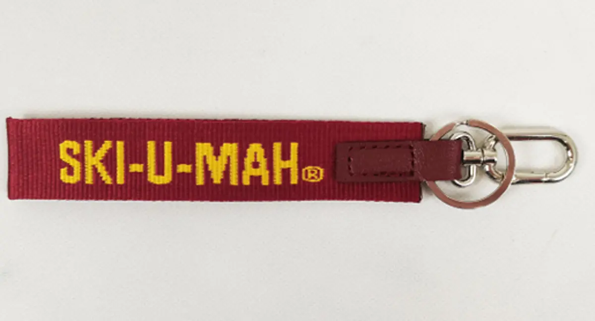 goldy gopher key chain
